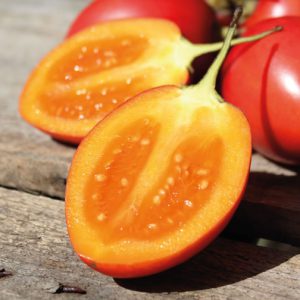 Tomate de árbol