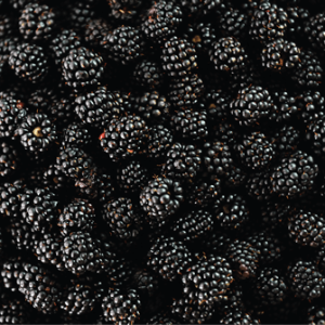 Compra y Venta de Frutas